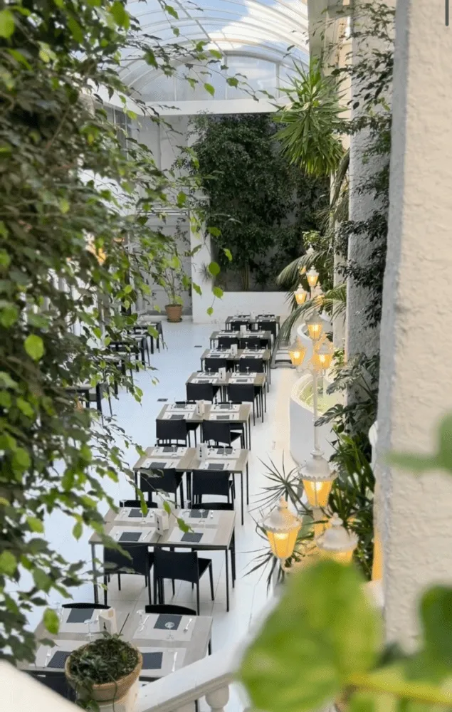 restaurante terraza calella