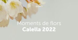 moments-de-flors-calella