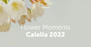 flower-moments-calella