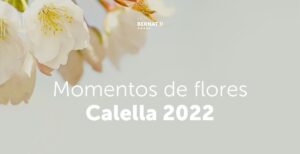 moments-de-flors-esp