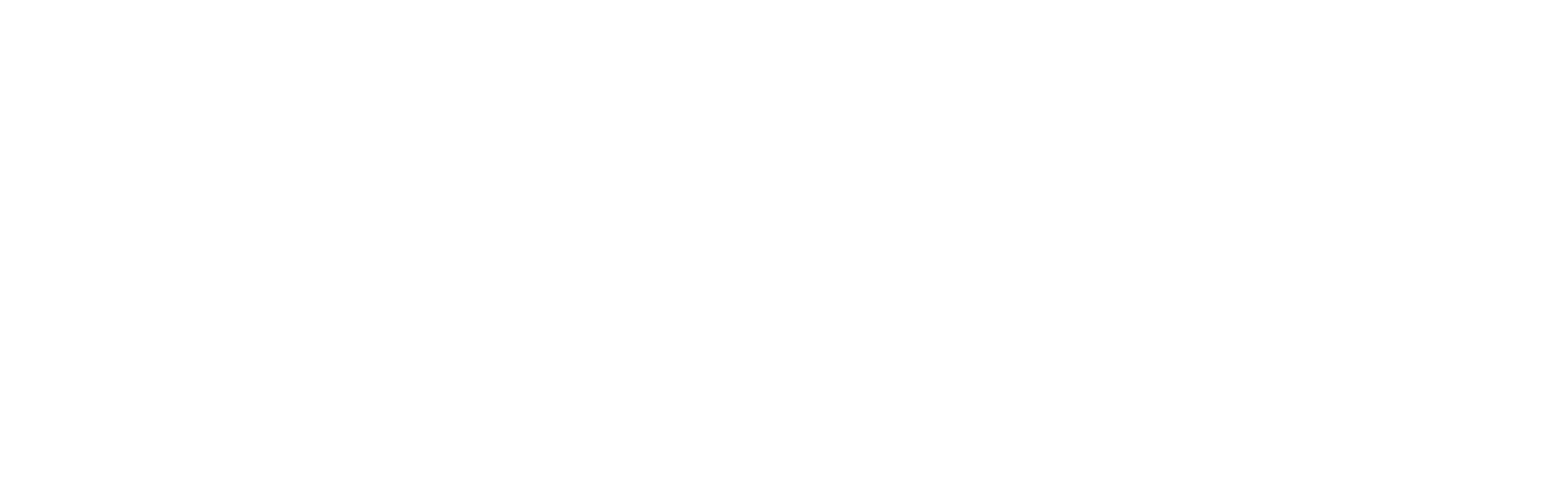 logo hotel bernat II