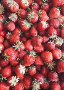 Fresas de Calella para la temporada de fresas del Maresme en mayo 2025